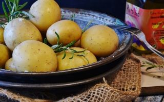 Какие витамины содержит картофель