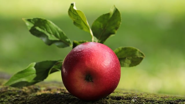 Содержание витаминов в яблоках