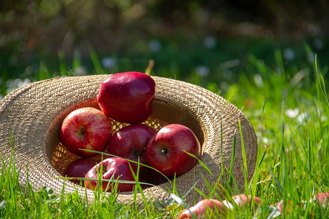 Содержание витаминов в яблоках