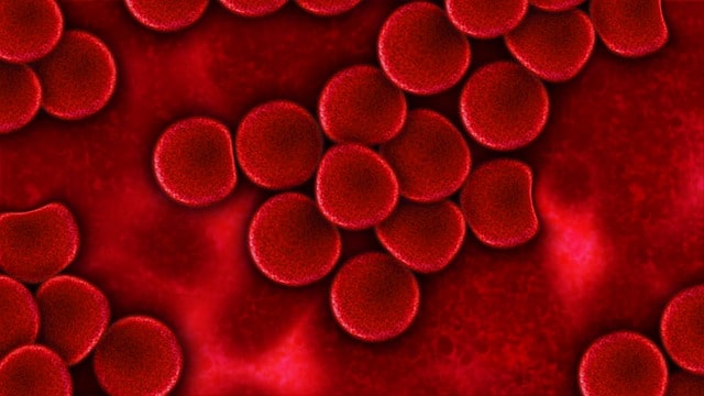 Чем поднять гемоглобин в крови витаминами thumbnail